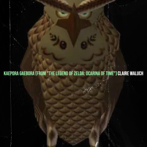 Kaepora Gaebora (From "the Legend of Zelda: Ocarina of Time") dari Claire Waluch