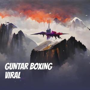 อัลบัม Guntar Boxing Viral ศิลปิน Wyafrizal