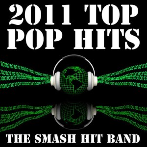 收聽The Smash Hit Band的Hey Baby (Pitbull &amp; T-Pain Party Jam Mix)歌詞歌曲