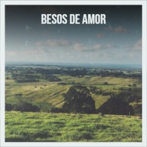 Various的专辑Besos De Amor