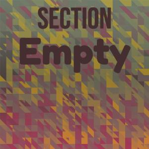 Various的专辑Section Empty