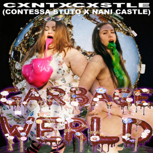 Listen to Garbage Werld (Explicit) song with lyrics from Contessa Stuto