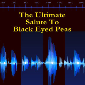 Hip Hop DJs United的專輯A Tribute To Black Eyed Peas