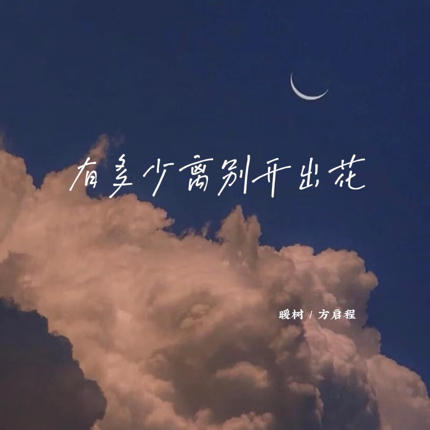有多少离别开出花 (伴奏)