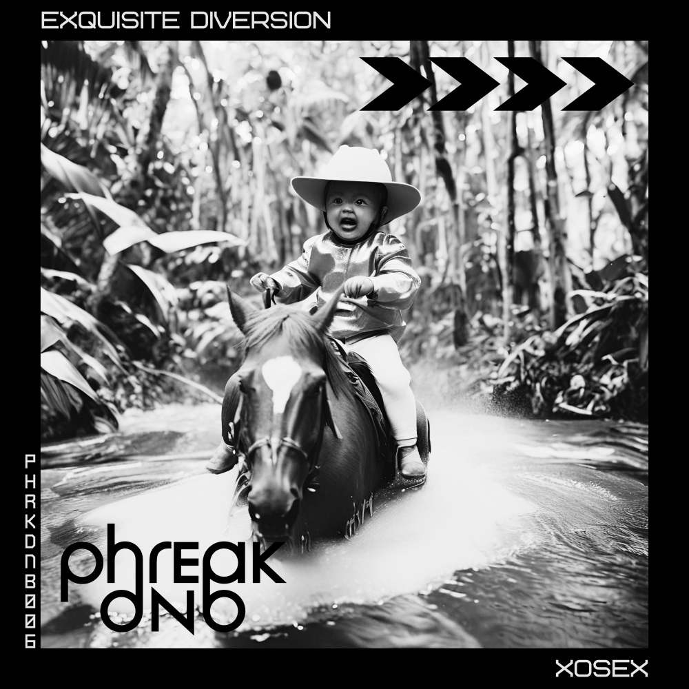 Exquisite Diversion