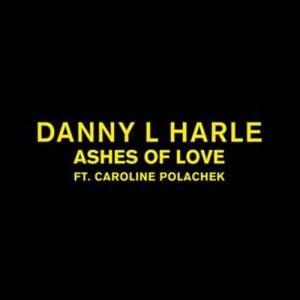 收聽Danny L Harle的Ashes of Love歌詞歌曲