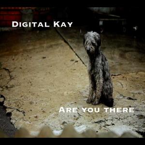 Album Are You There from Digital Kay