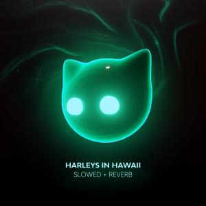 Listen to harleys in hawaii (slowed + reverb) song with lyrics from slowed + reverb mr cat