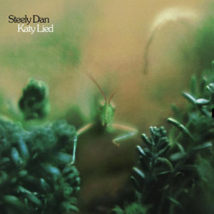 ดาวน์โหลดและฟังเพลง Any World (That I'm Welcome To) พร้อมเนื้อเพลงจาก Steely Dan