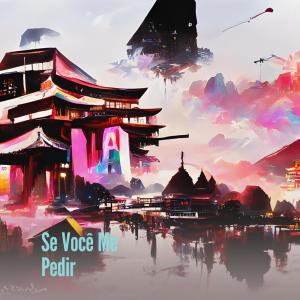 Listen to Se Você Me Pedir song with lyrics from dj pertubado