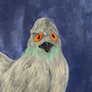 อัลบัม Pigeon ศิลปิน 다섯
