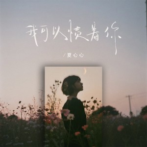 Listen to 我可以惯着你 song with lyrics from 夏心心