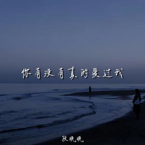 Album 你有没有真的爱过我 from 
