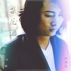 Listen to 去年圣诞 song with lyrics from 刘康鑫