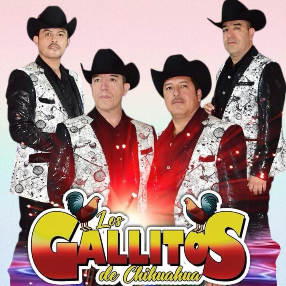 Cariño ingrato-Los Gallitos de Chihuahua (feat. Los Gallitos de Chihuahua)