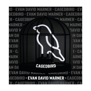 ดาวน์โหลดและฟังเพลง Caged Bird พร้อมเนื้อเพลงจาก Evan David Warner