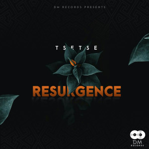 Listen to Disturbia (Original Mix) song with lyrics from Tsetse