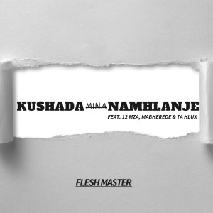 Flesh Master的專輯Kushada Mina Namhlanje