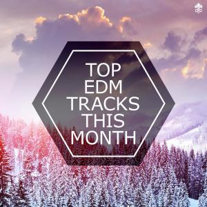 Top EDM Tracks This Month dari Dogena