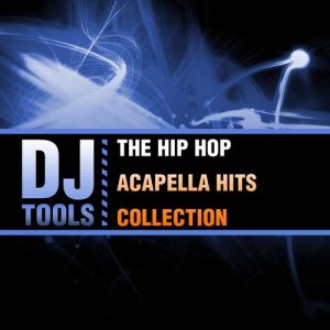 ดาวน์โหลดและฟังเพลง Bitch Better Have My Money (Acapella Version) (Explicit) (Acapella Version|Explicit) พร้อมเนื้อเพลงจาก DJ Tools