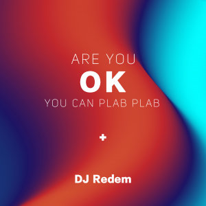 Listen to Are You Ok You Can Plab Plab song with lyrics from Dj Redem