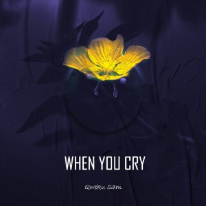 Album When You Cry from 