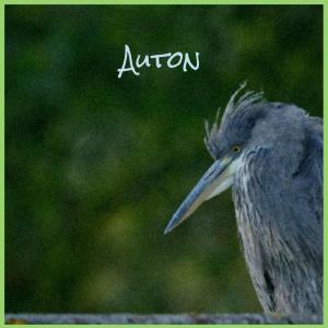 Album Auton from 