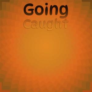 Various Artists的專輯Going Caught