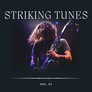 Various Artists的專輯Striking Tunes Vol 1