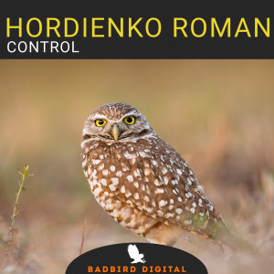 收聽Hordienko Roman的Control歌詞歌曲