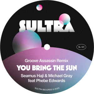 Album You Bring The Sun from Seamus Haji