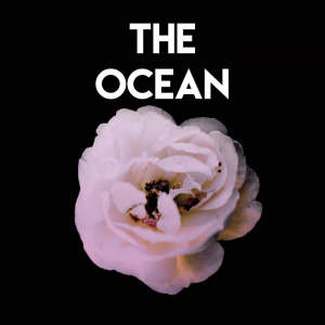 Vibe2Vibe的專輯The Ocean