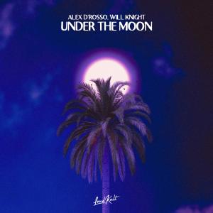 อัลบัม Under The Moon ศิลปิน Alex D'rosso