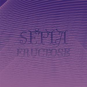 ดาวน์โหลดและฟังเพลง Seis Bueno พร้อมเนื้อเพลงจาก Rodrigp