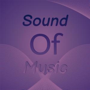 Album Sound of Music oleh Silvia Natiello-Spiller