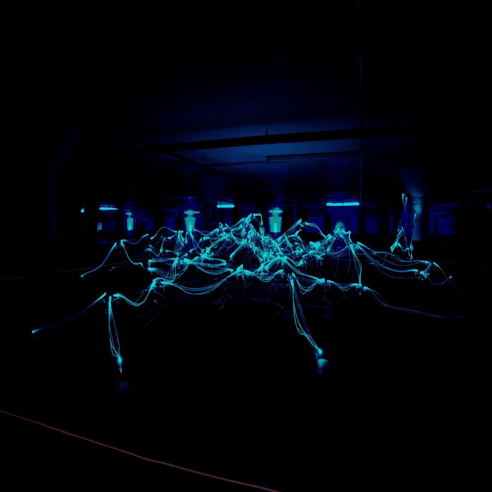 WIRED (Explicit)