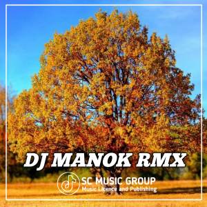 收聽DJ Manok Rmx的Dj Nam Dang Nam Som x Day Day Day歌詞歌曲