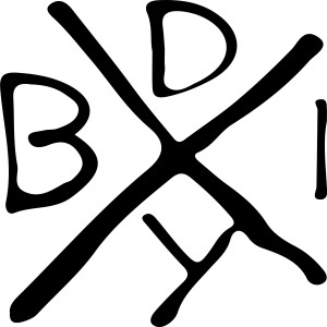 Still Shaking的專輯B.D.I.Y