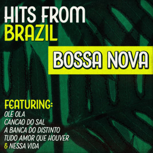 Listen to Mais um adeus song with lyrics from Vinicius