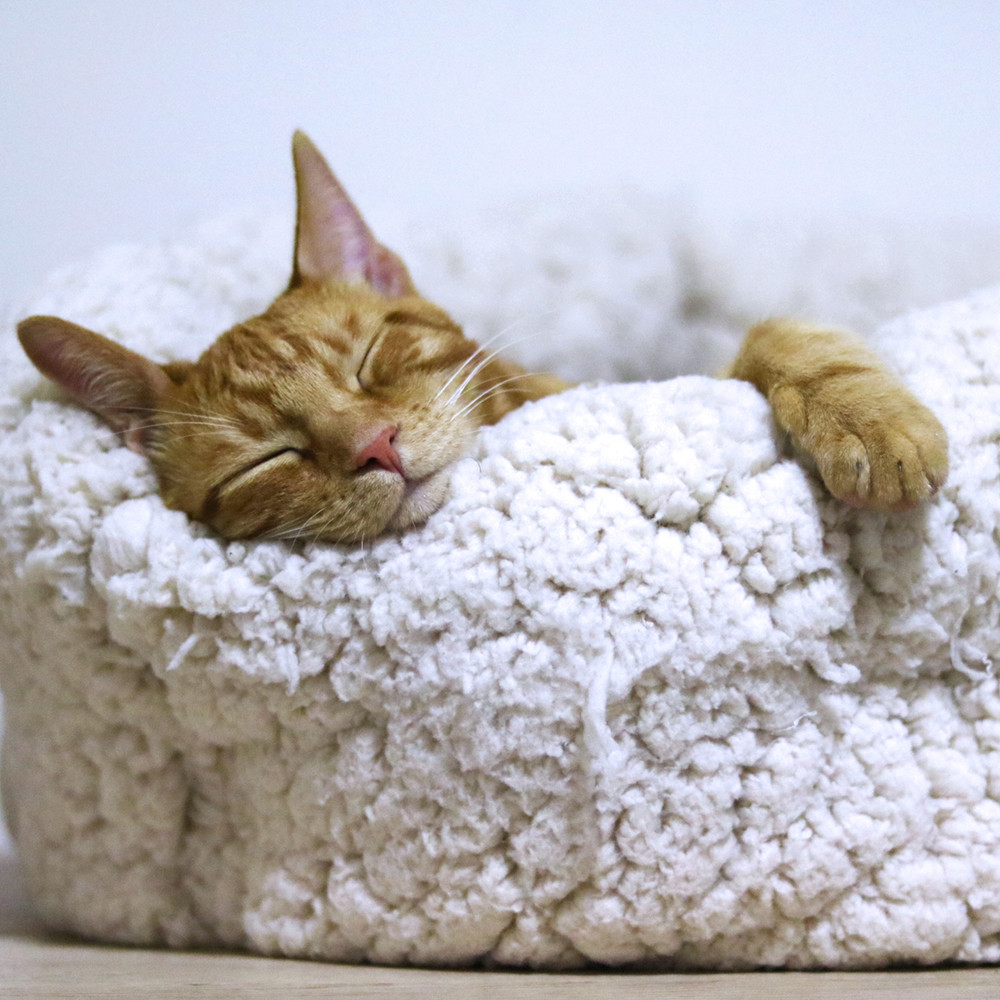 Deep Sleep