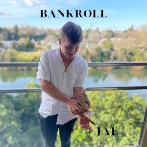 樸再興的專輯Bankroll (Explicit)