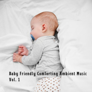 Album Baby Friendly Comforting Ambient Music Vol. 1 from Happy Baby Lullaby Collection