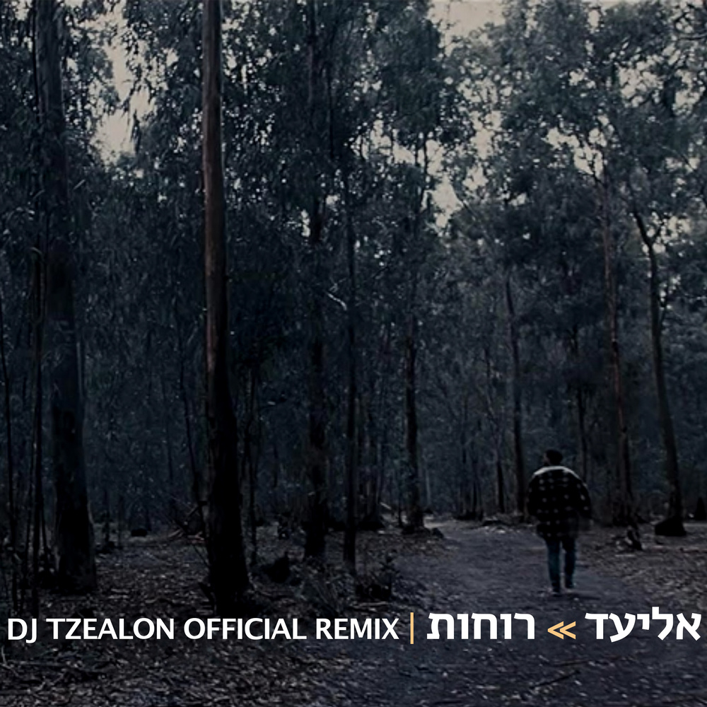 רוחות (Tzealon Remix)