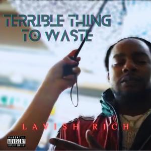 Lavish Rich的專輯TERRIBLE THING TO WASTE (Explicit)