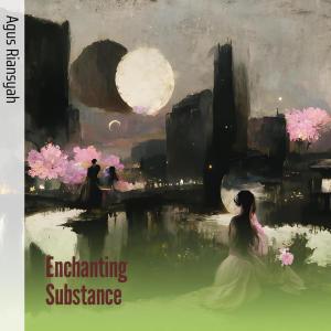 Album Enchanting Substance oleh Agus Riansyah
