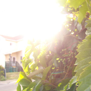 收聽Call Me T的jump in tha crowd (freestyle) (Explicit)歌詞歌曲