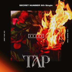 SECRET NUMBER的專輯TAP