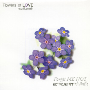 ดาวน์โหลดและฟังเพลง อยากให้เธออยู่ตรงนี้ พร้อมเนื้อเพลงจาก โบ สุนิตา