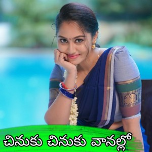 Listen to Chinuku Chinuku Vanallo song with lyrics from DJ UDAYA SAHU