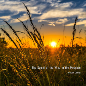 Dengarkan lagu 산에서 듣는 바람소리 The Sound of the Wind in the Mountain nyanyian 네이쳐콜링 dengan lirik